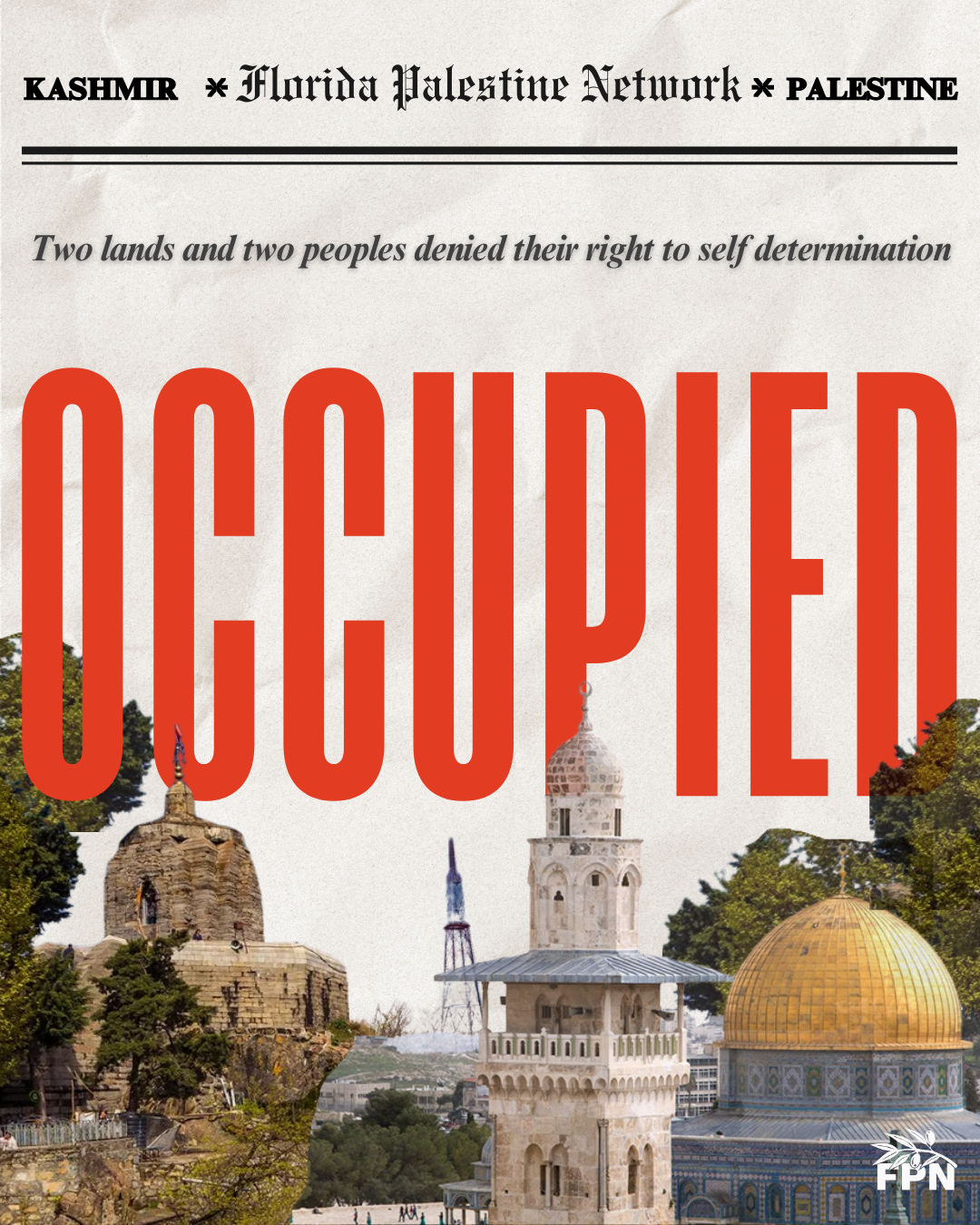 Occupied Palestine Occupied Kashmir cover image